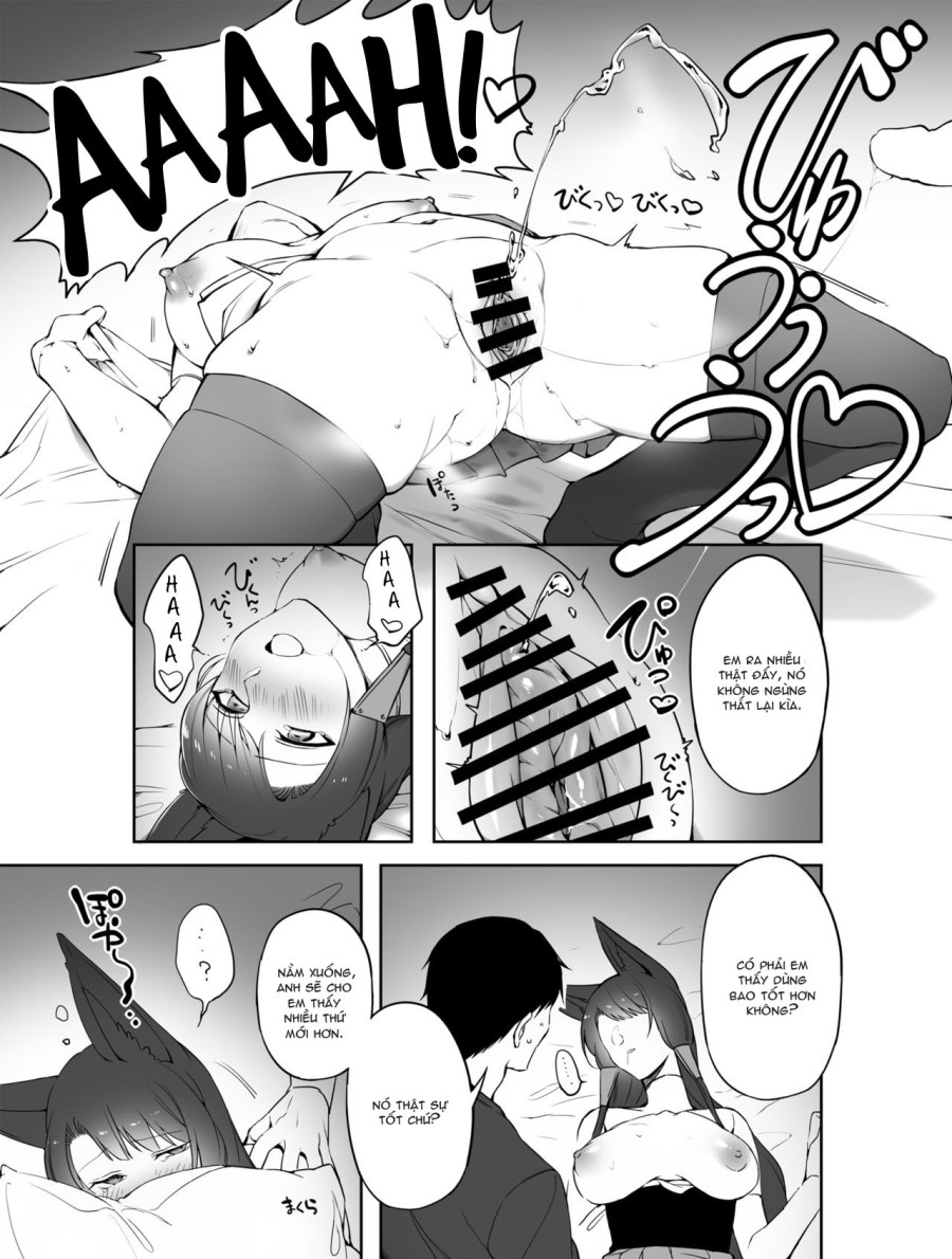 Best của chơi segg thú (Azur Lane) 