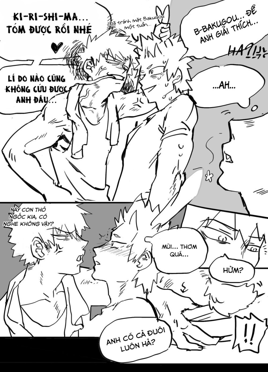Kirishima biến thành thỏ rồi!!! 