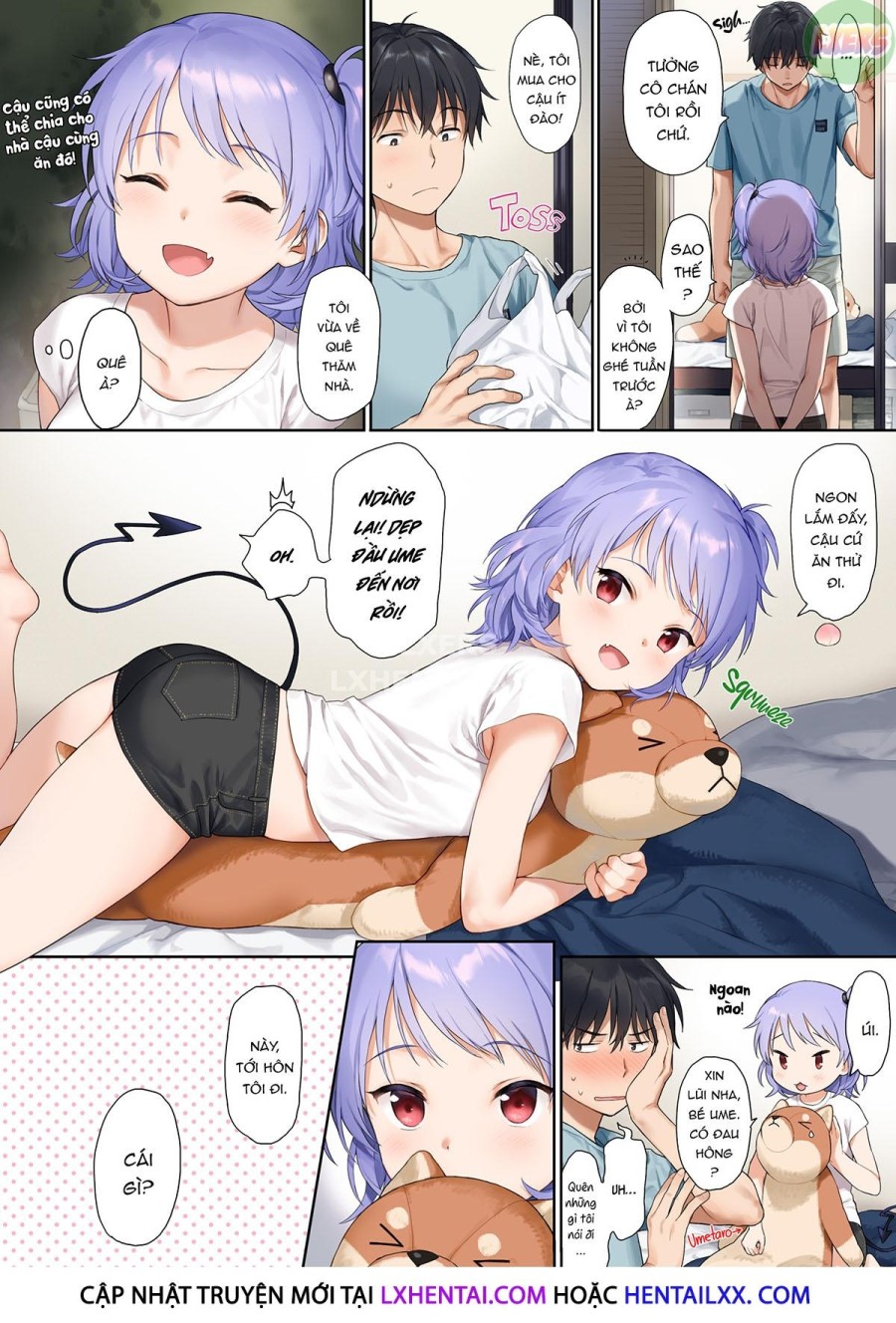 Instant Succu 