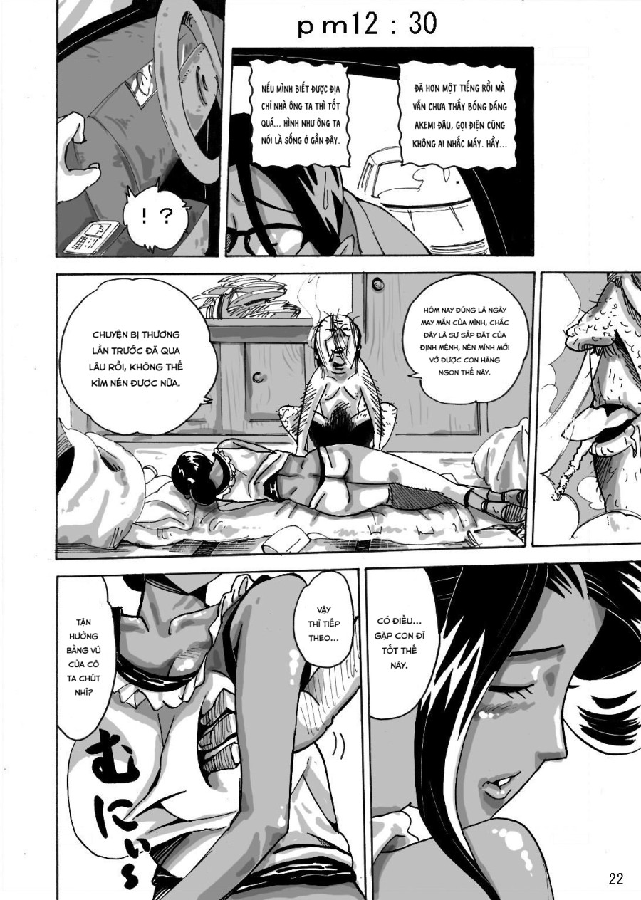 Yankee Zuma Akemi ~ 