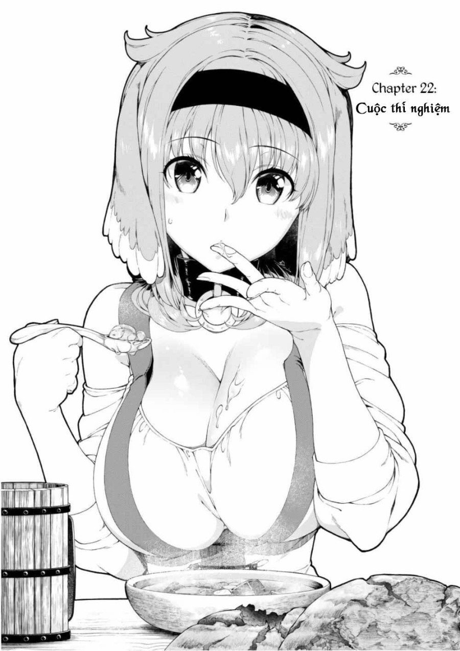 Lập Harem Chốn Mê Cung Ở Dị Giới 