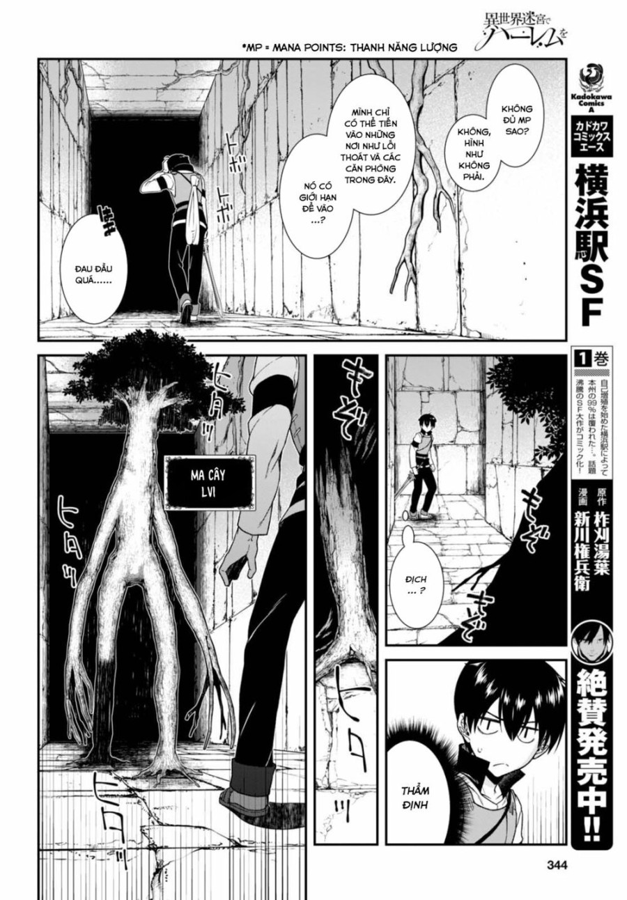 Lập Harem Chốn Mê Cung Ở Dị Giới 