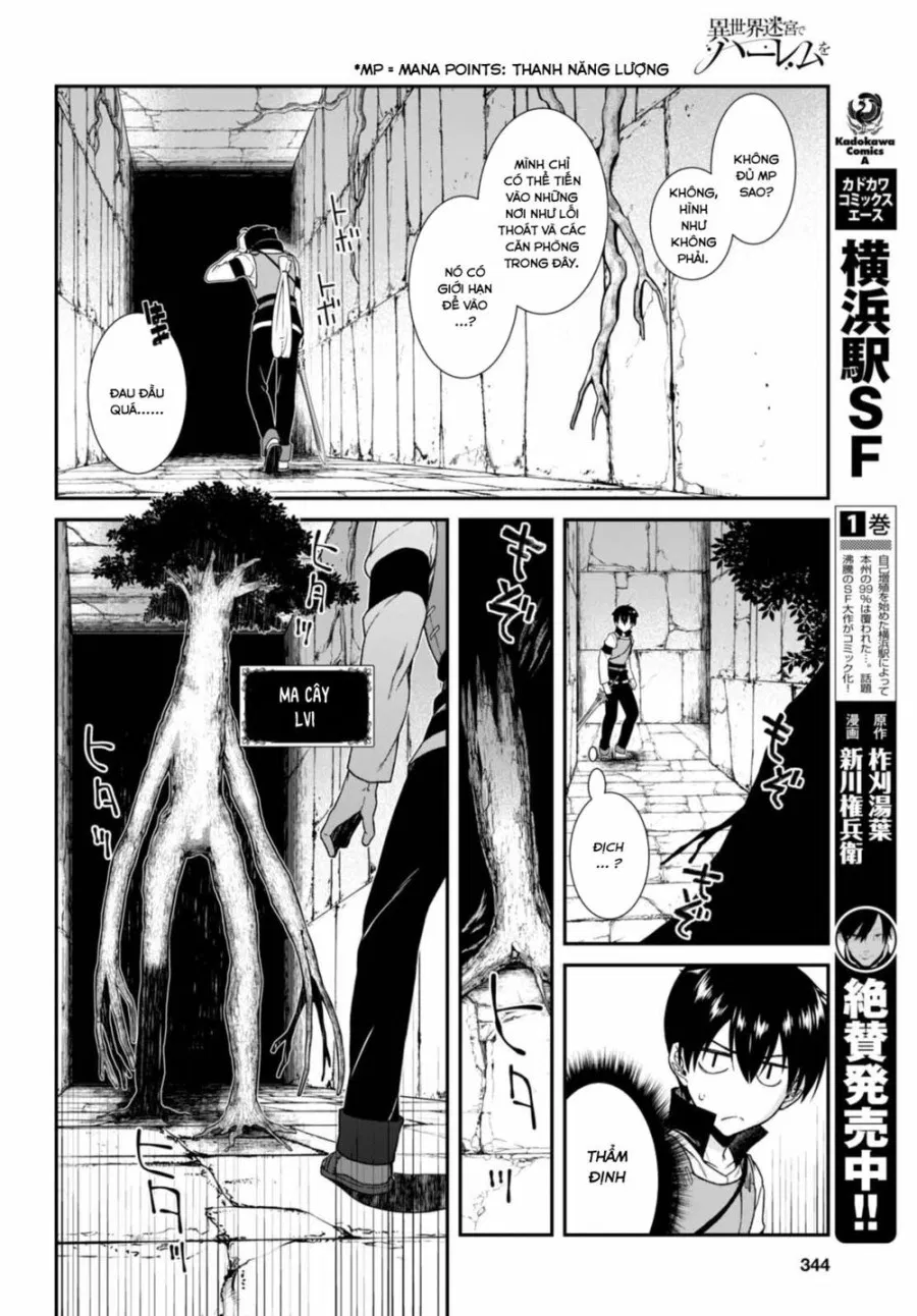 Lập Harem Chốn Mê Cung Ở Dị Giới 
