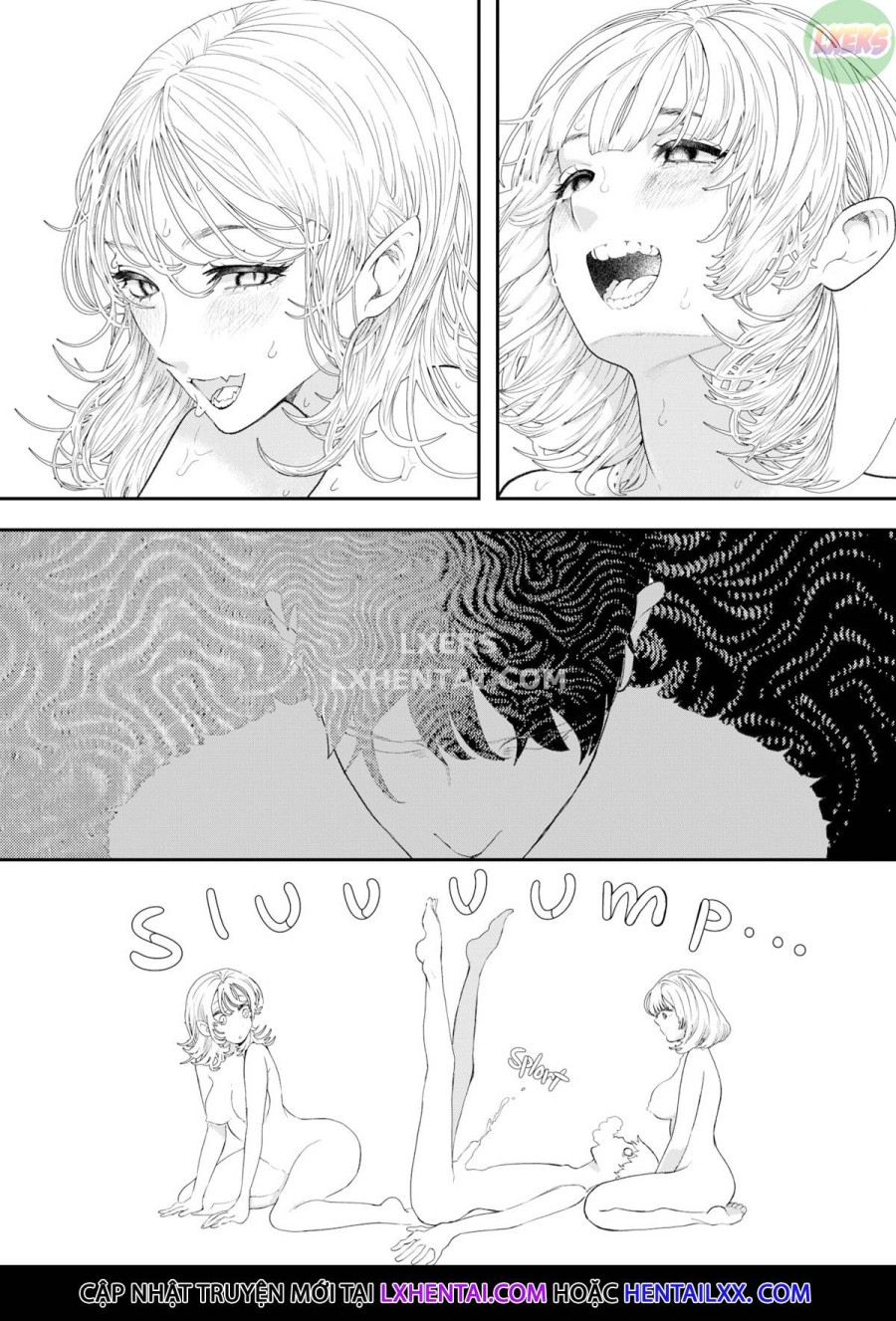Mèo & Thỏ 
