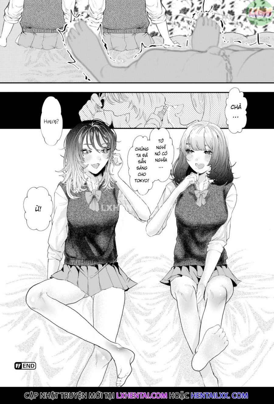Mèo & Thỏ 
