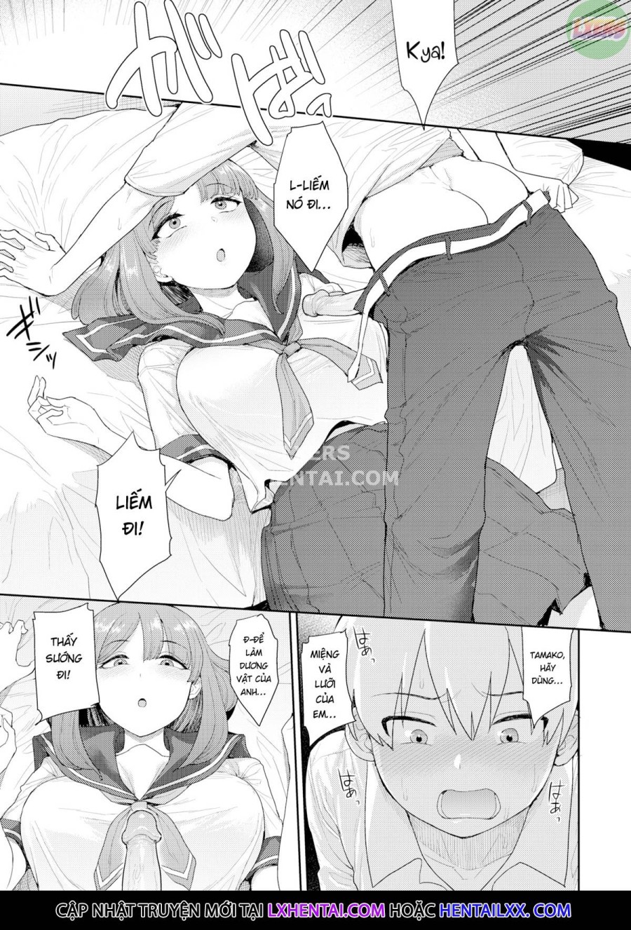 Cách huấn luyện thú cưng 