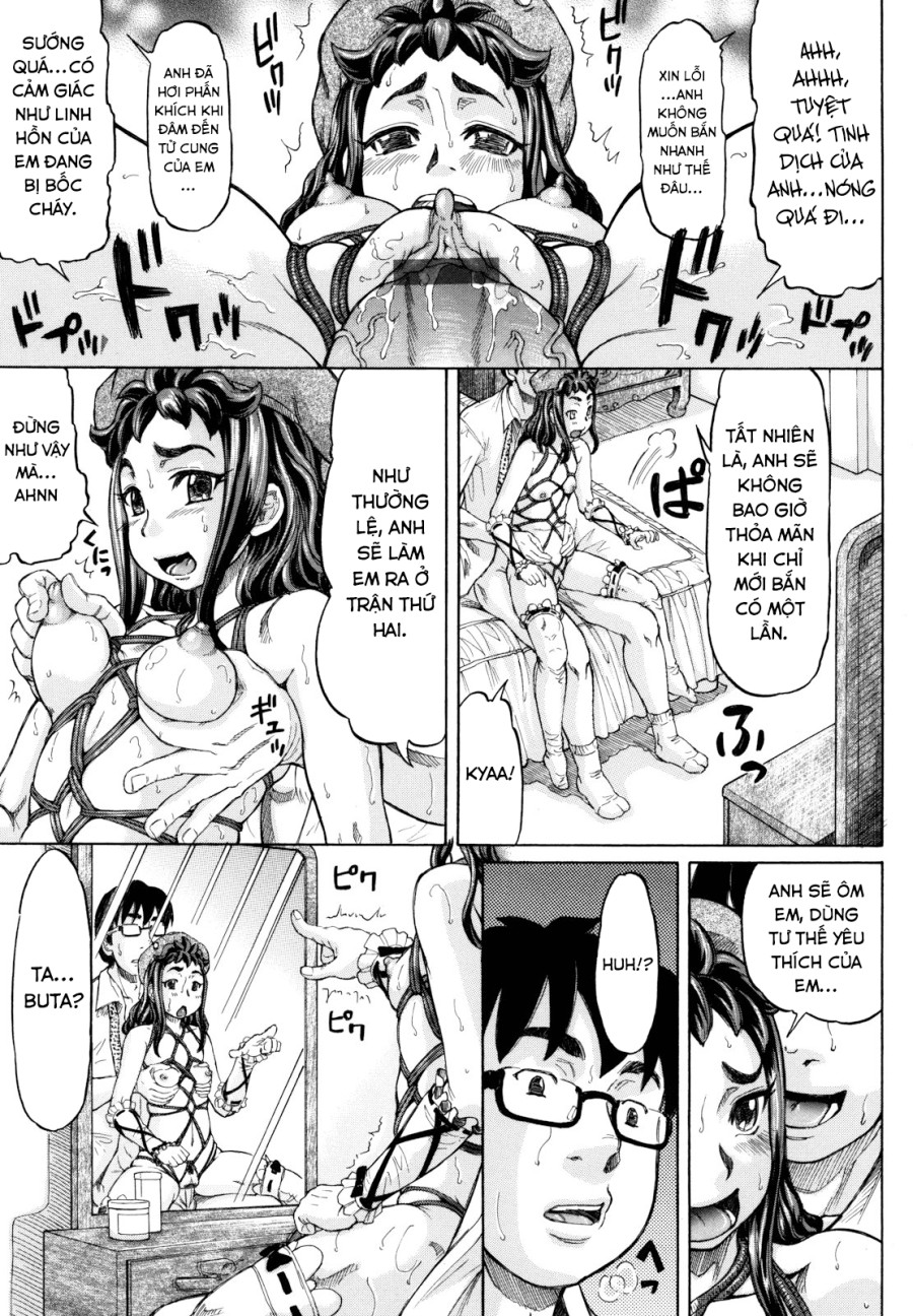 Hachimitsu Drop 