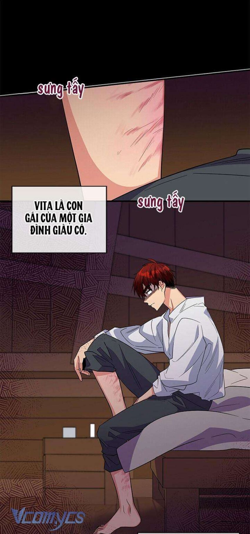 Chồng Yêu, Tôi Đây Bãi Công! 