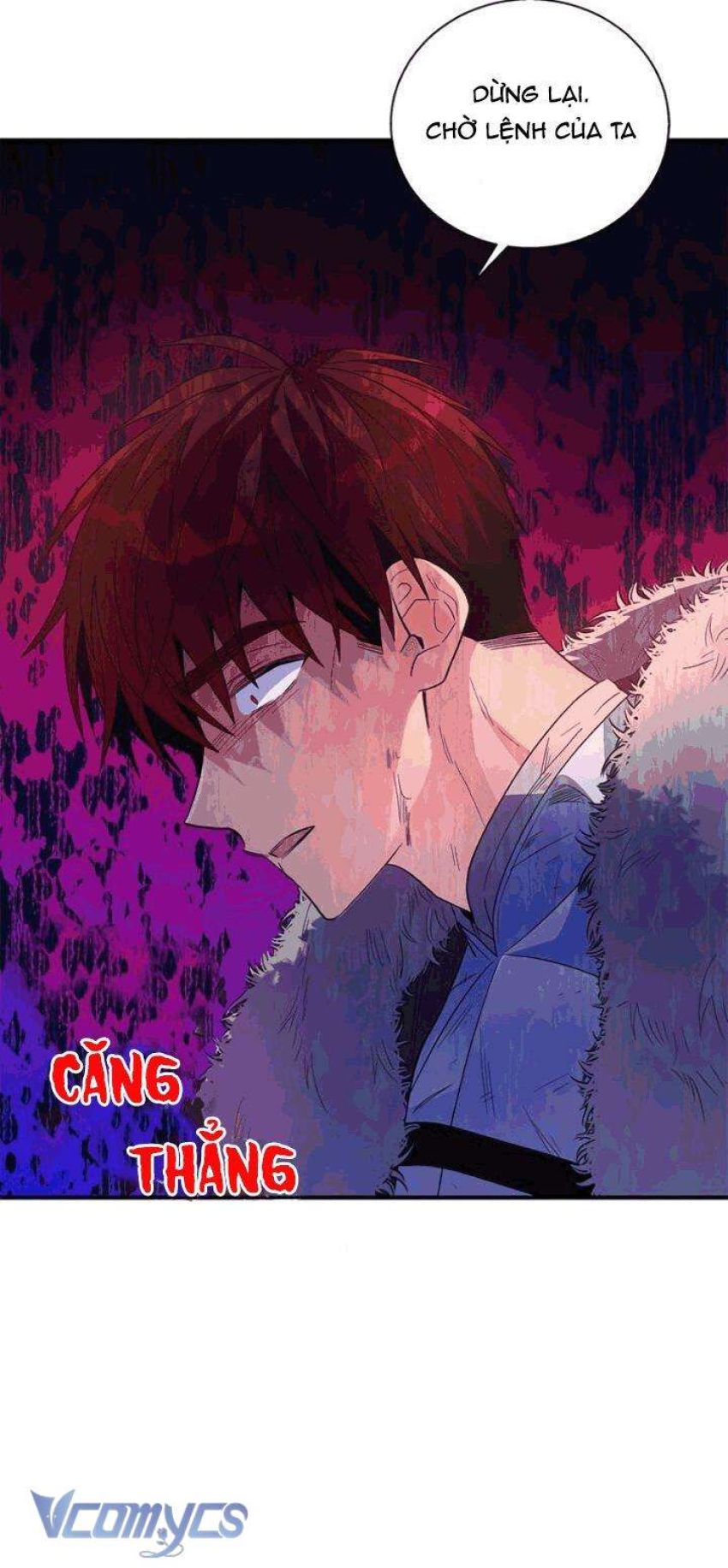 Chồng Yêu, Tôi Đây Bãi Công! 