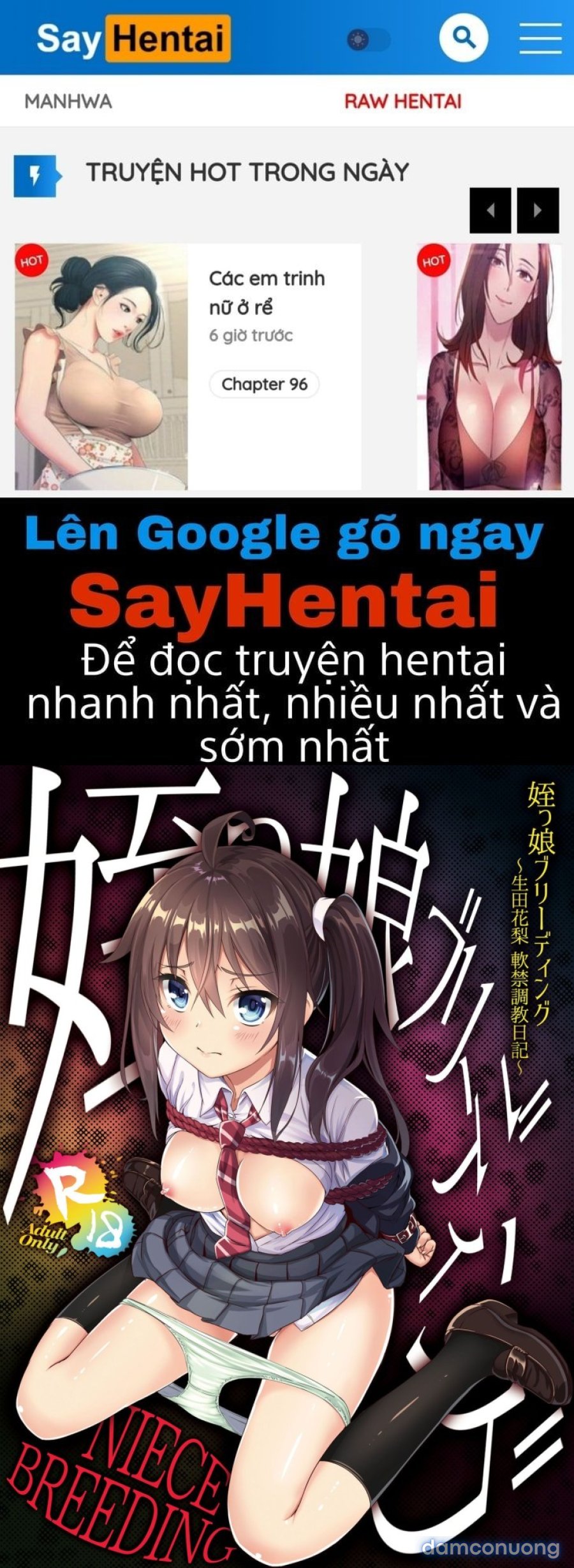 Nhất Ký Huấn Luyện Bé Karin Tại Nhà 