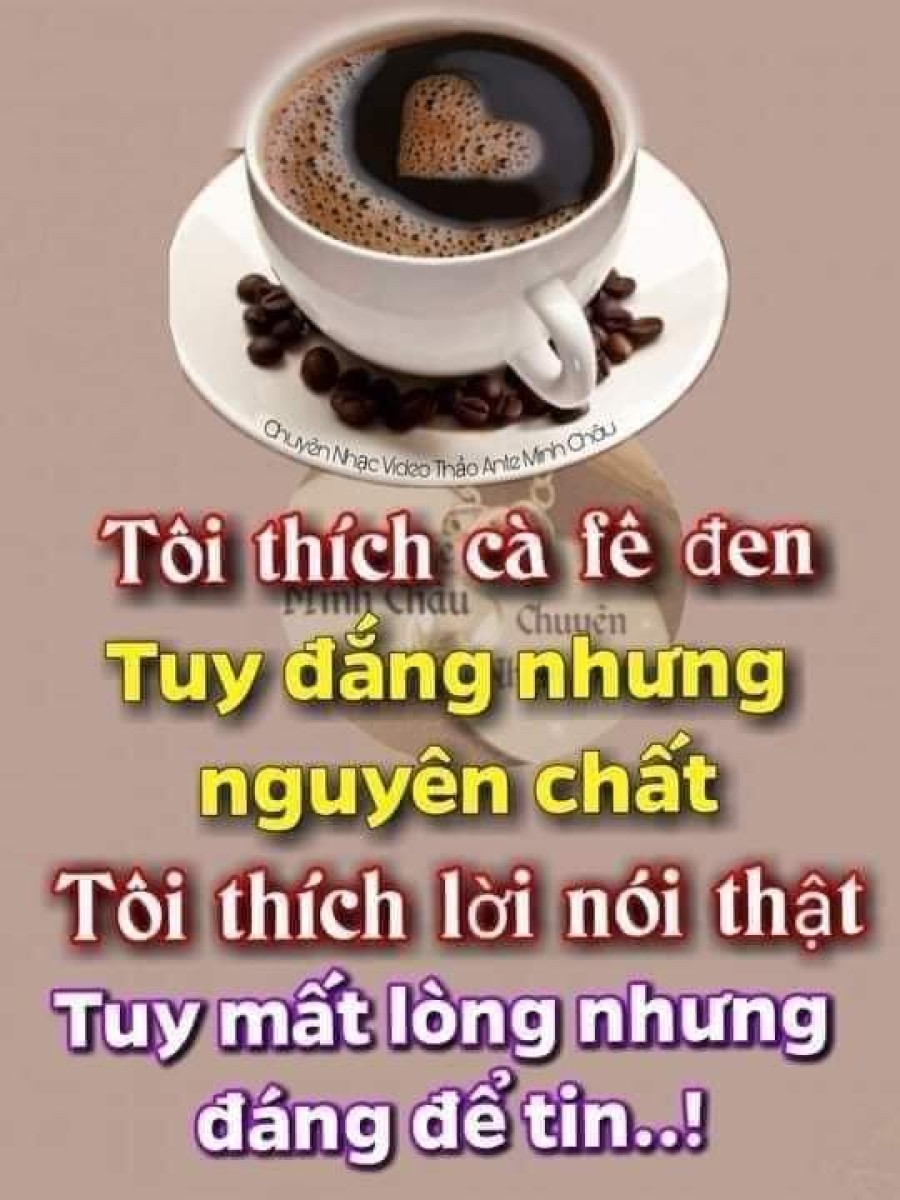 Bồn chứa tinh Komi-san 