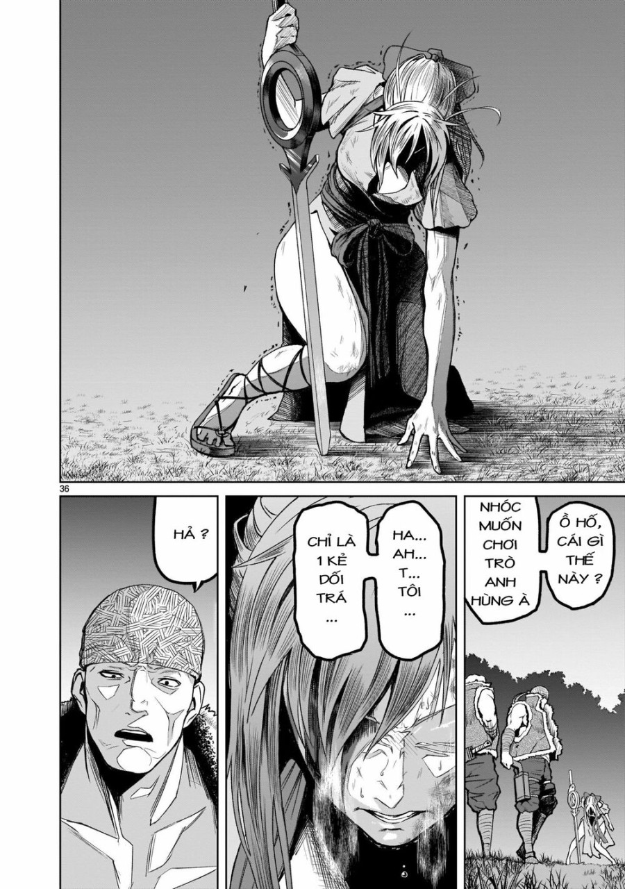 Vườn hoa hồng Saga 