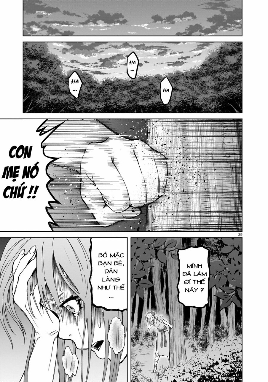 Vườn hoa hồng Saga 