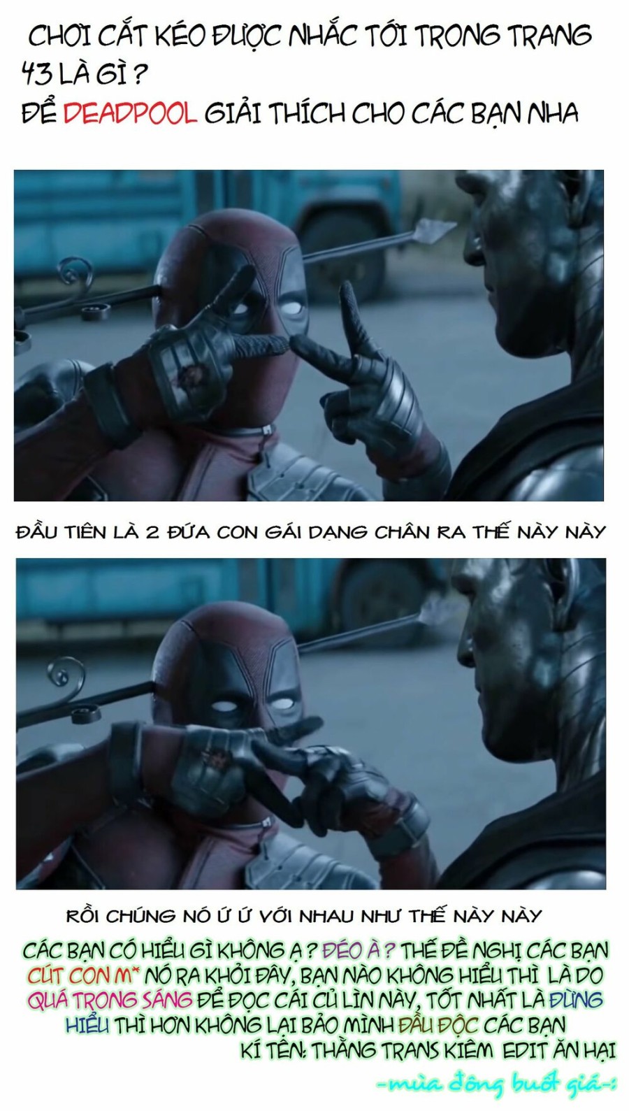 Vườn hoa hồng Saga 