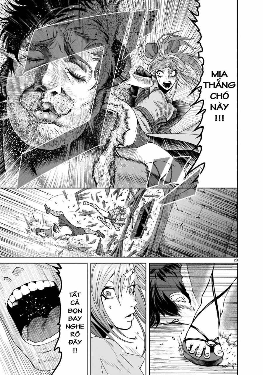Vườn hoa hồng Saga 