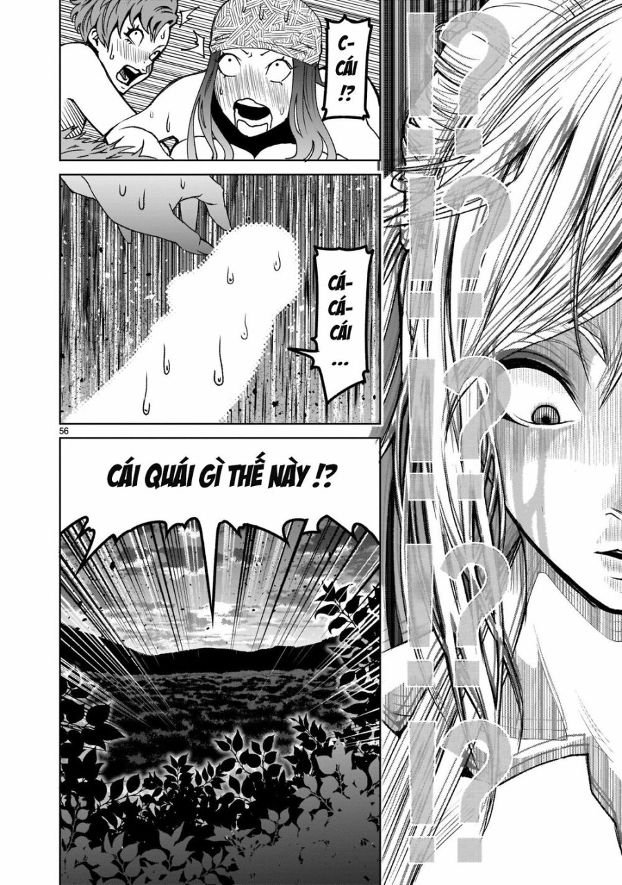 Vườn hoa hồng Saga 
