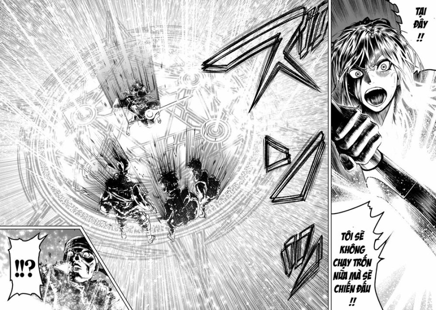 Vườn hoa hồng Saga 