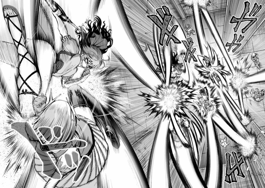 Vườn hoa hồng Saga 