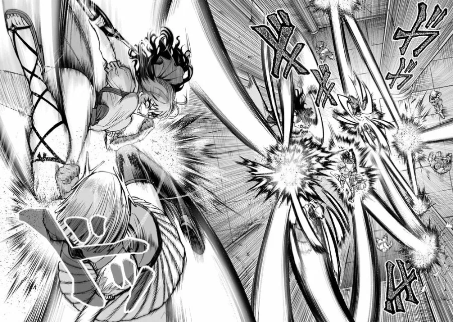 Vườn hoa hồng Saga 