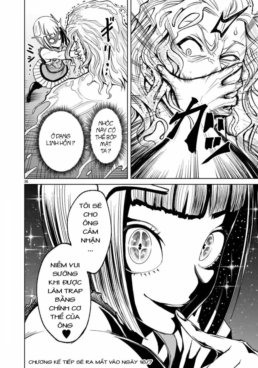 Vườn hoa hồng Saga 
