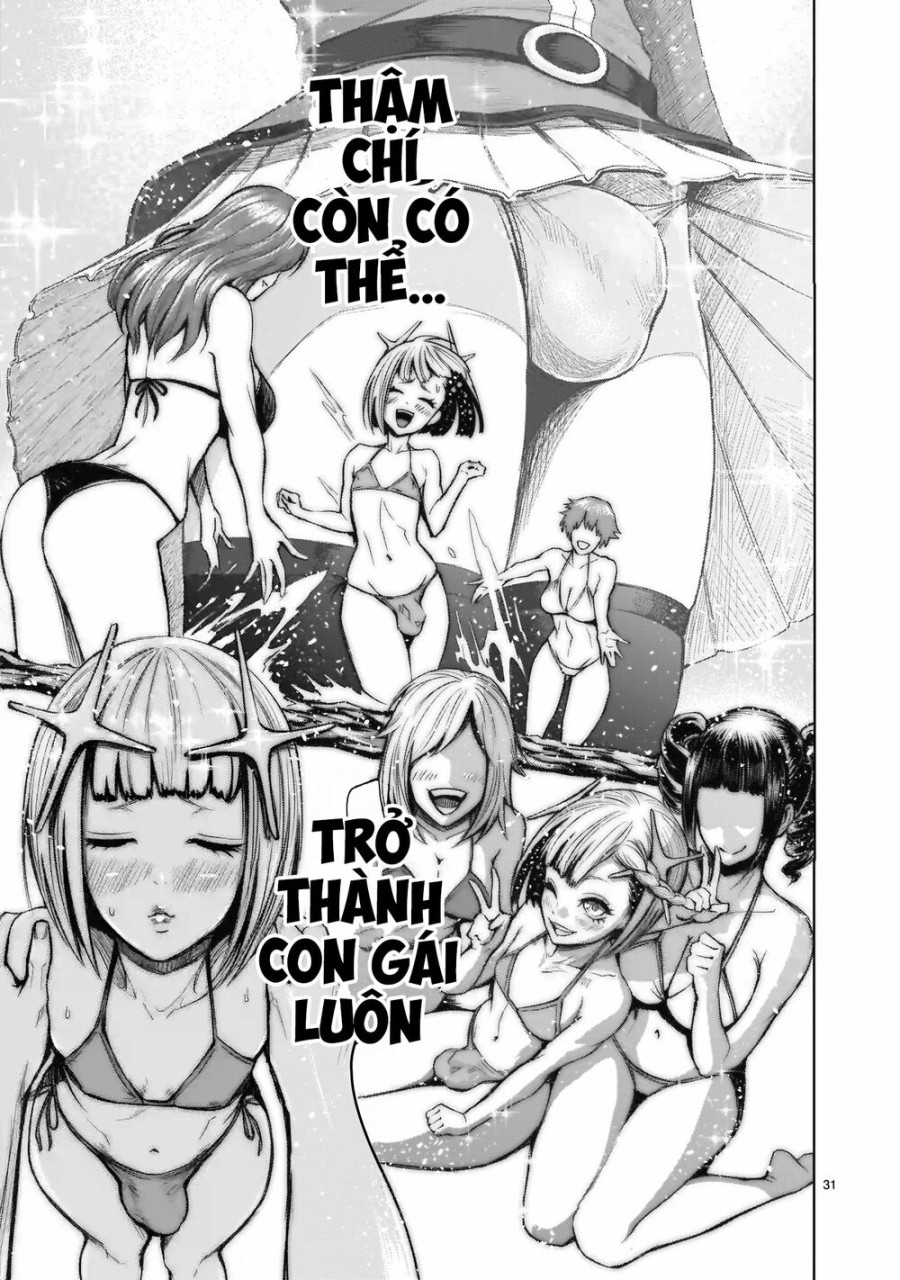 Vườn hoa hồng Saga 