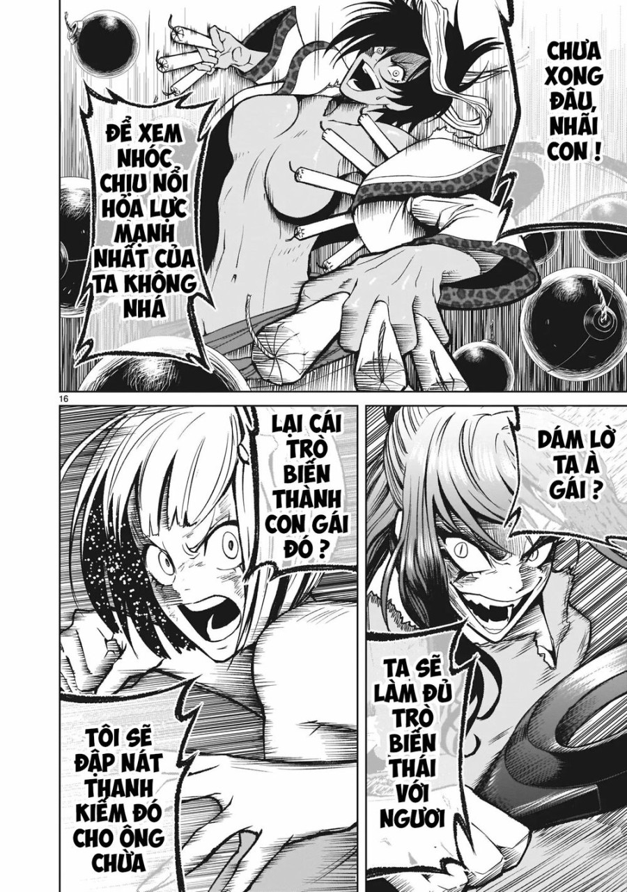 Vườn hoa hồng Saga 