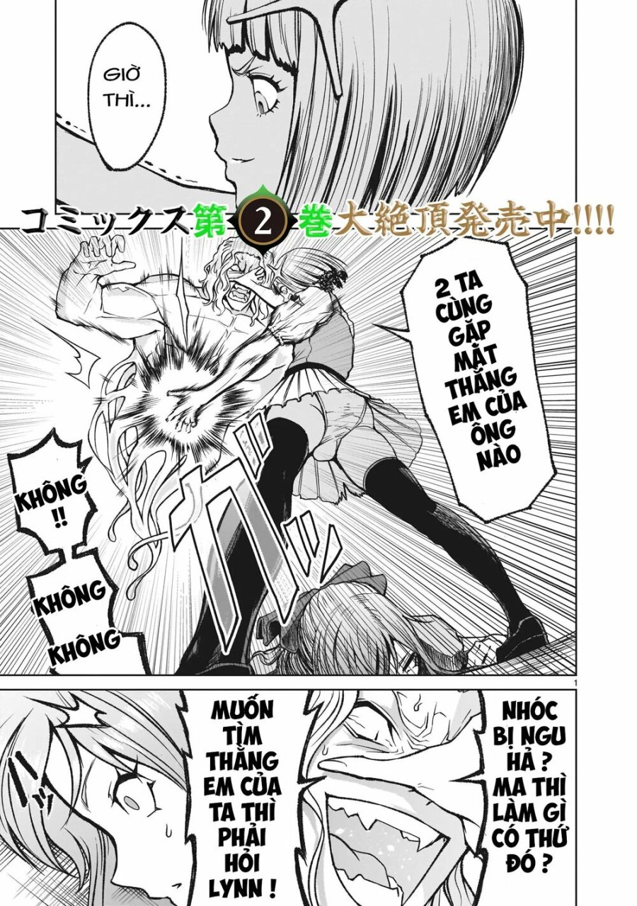Vườn hoa hồng Saga 