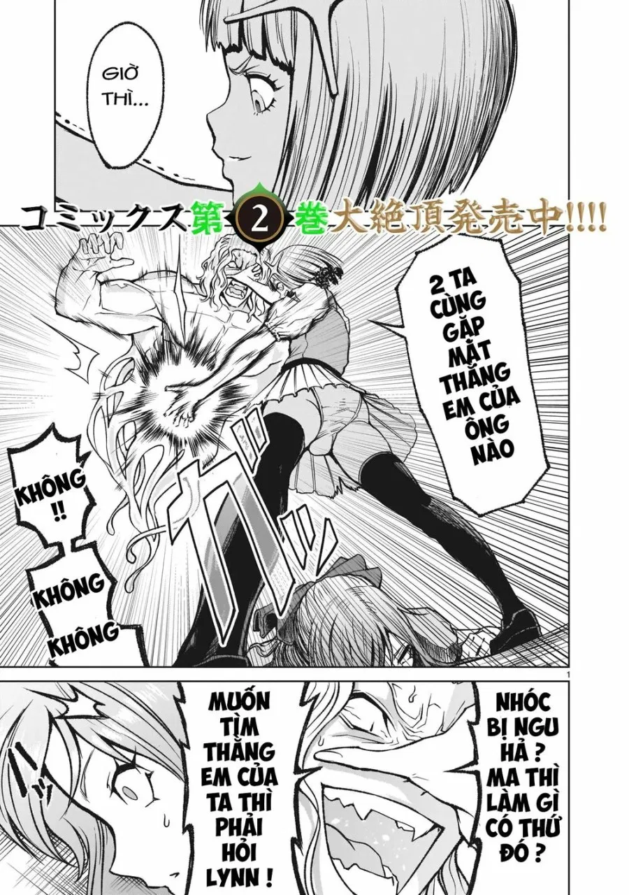 Vườn hoa hồng Saga 