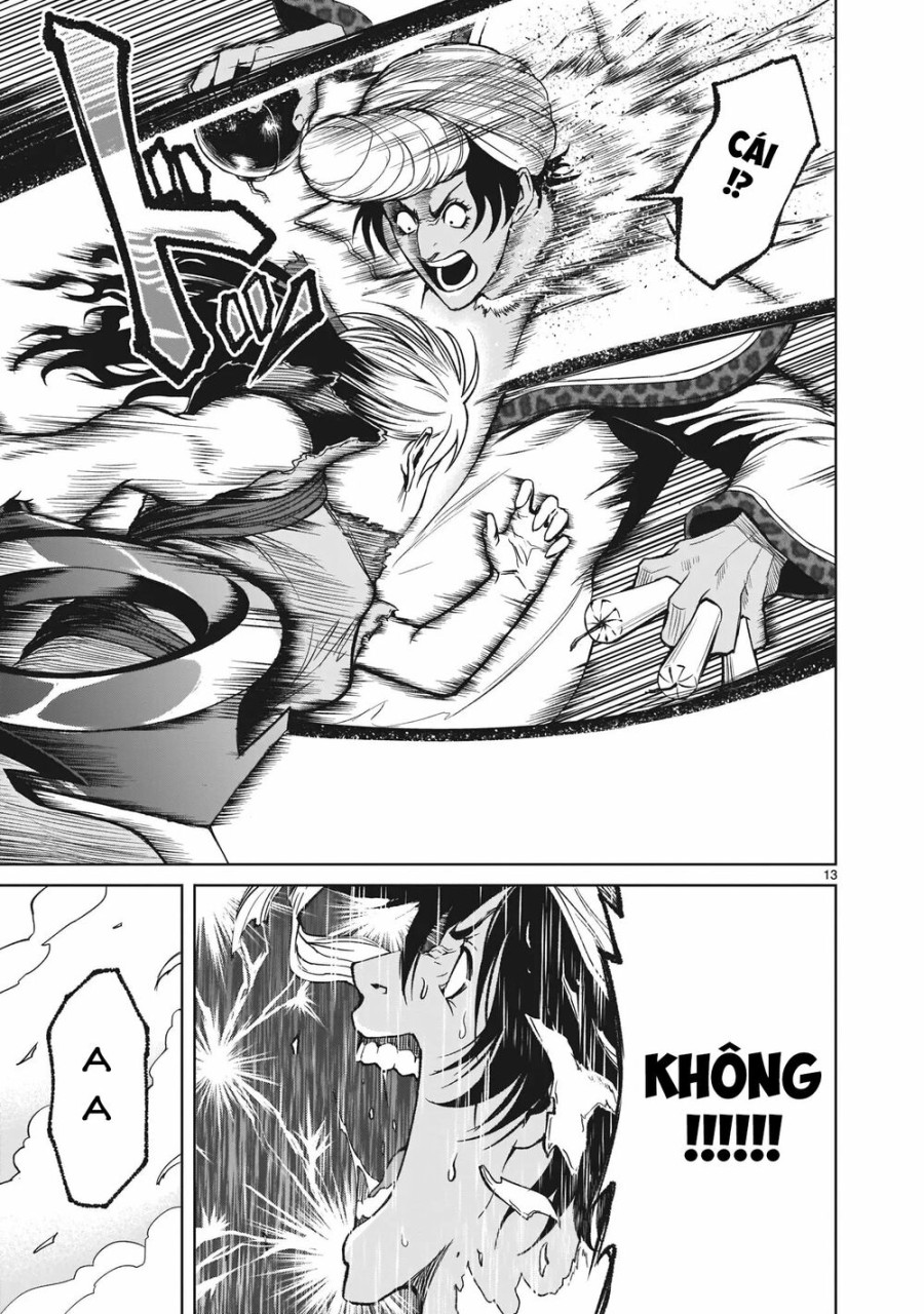 Vườn hoa hồng Saga 