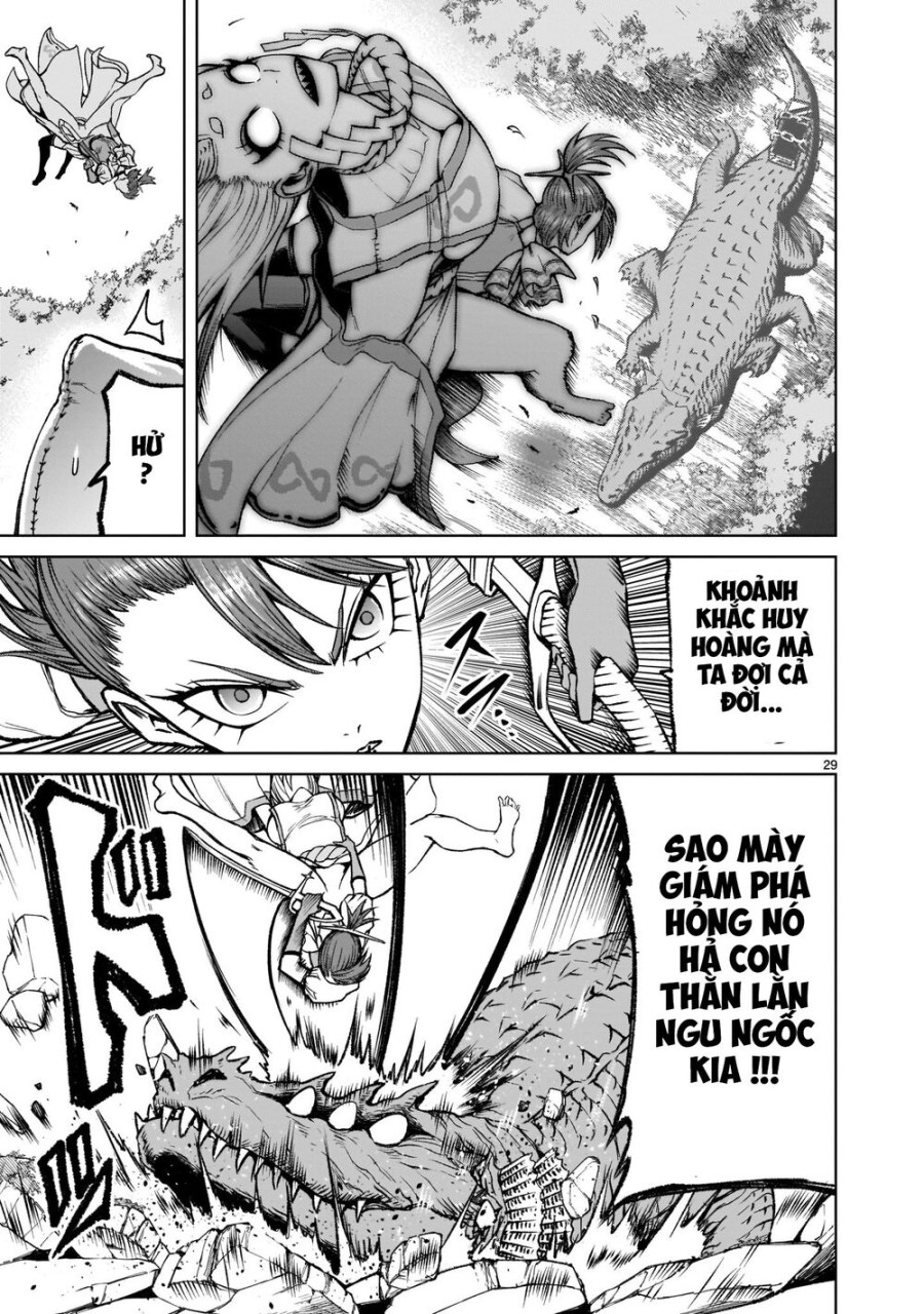 Vườn hoa hồng Saga 