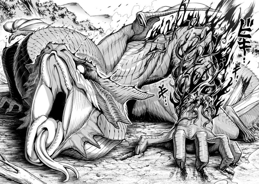 Vườn hoa hồng Saga 