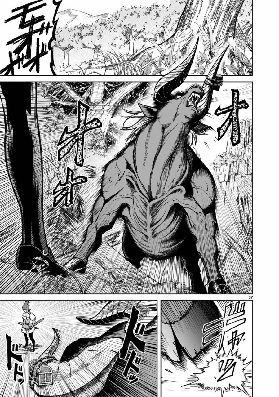 Vườn hoa hồng Saga 