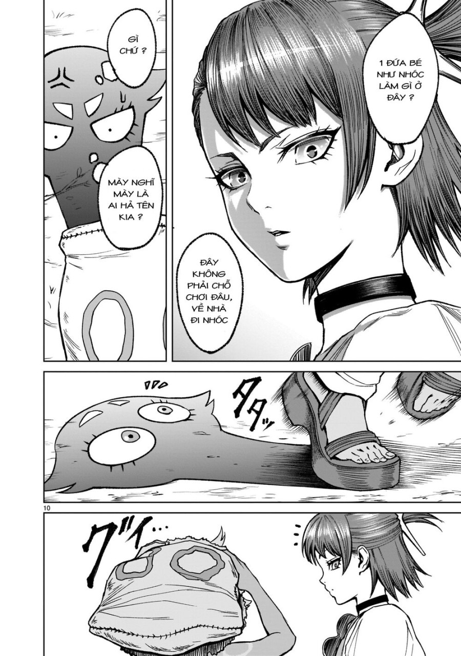 Vườn hoa hồng Saga 