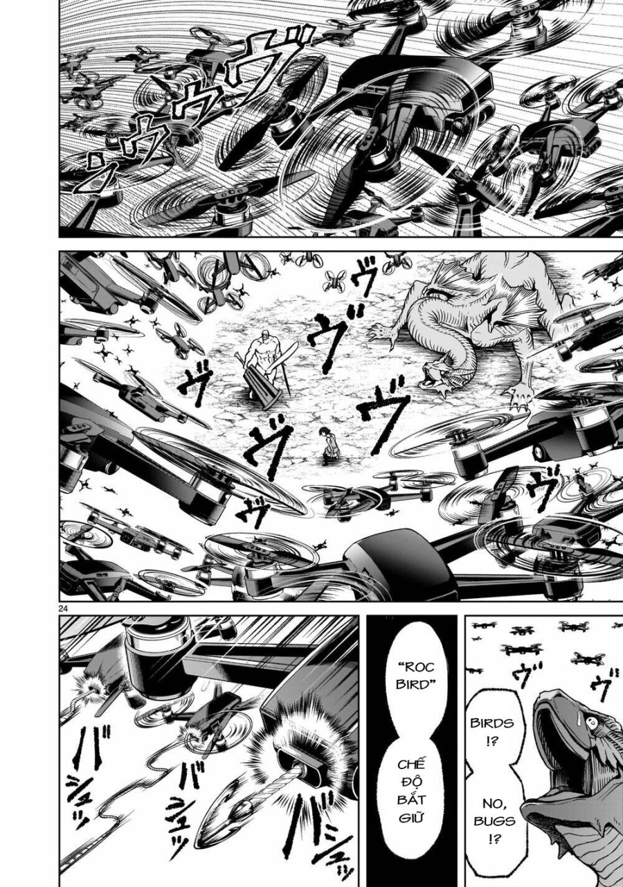 Vườn hoa hồng Saga 