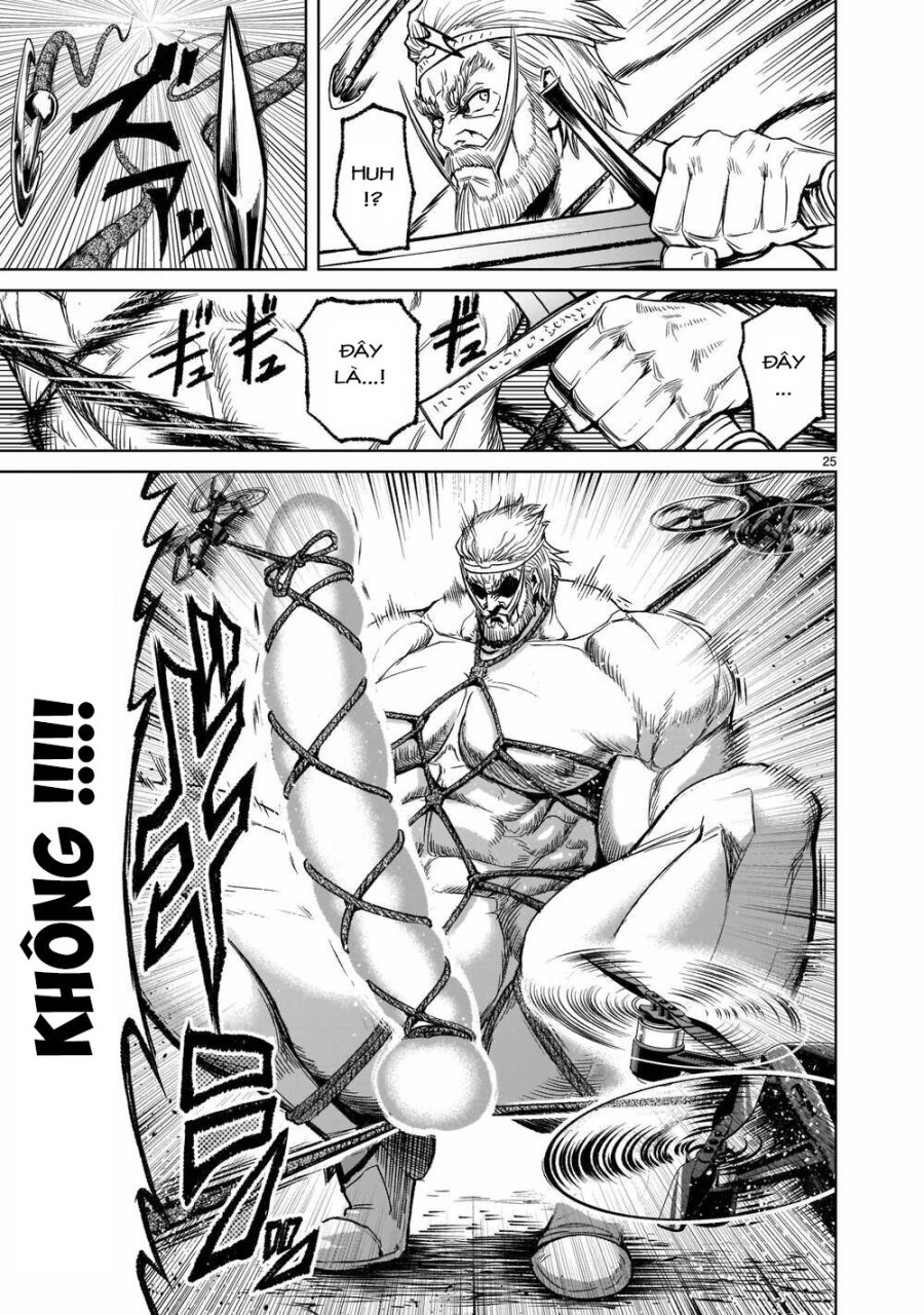 Vườn hoa hồng Saga 