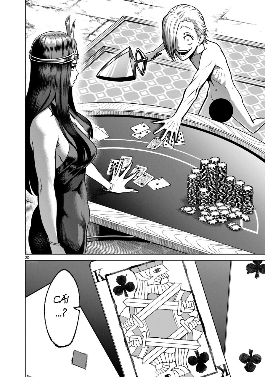 Vườn hoa hồng Saga 