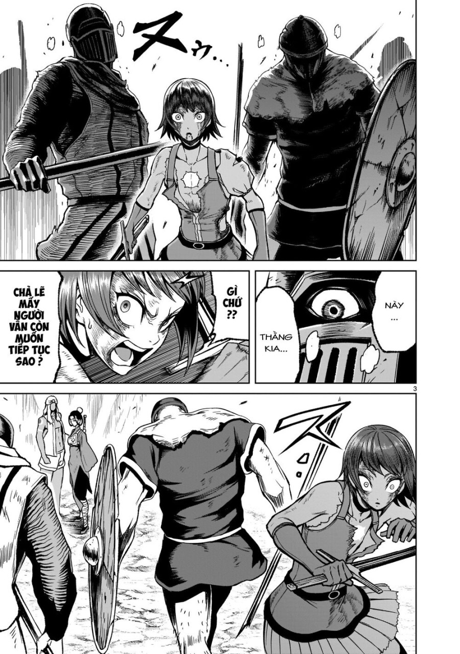 Vườn hoa hồng Saga 