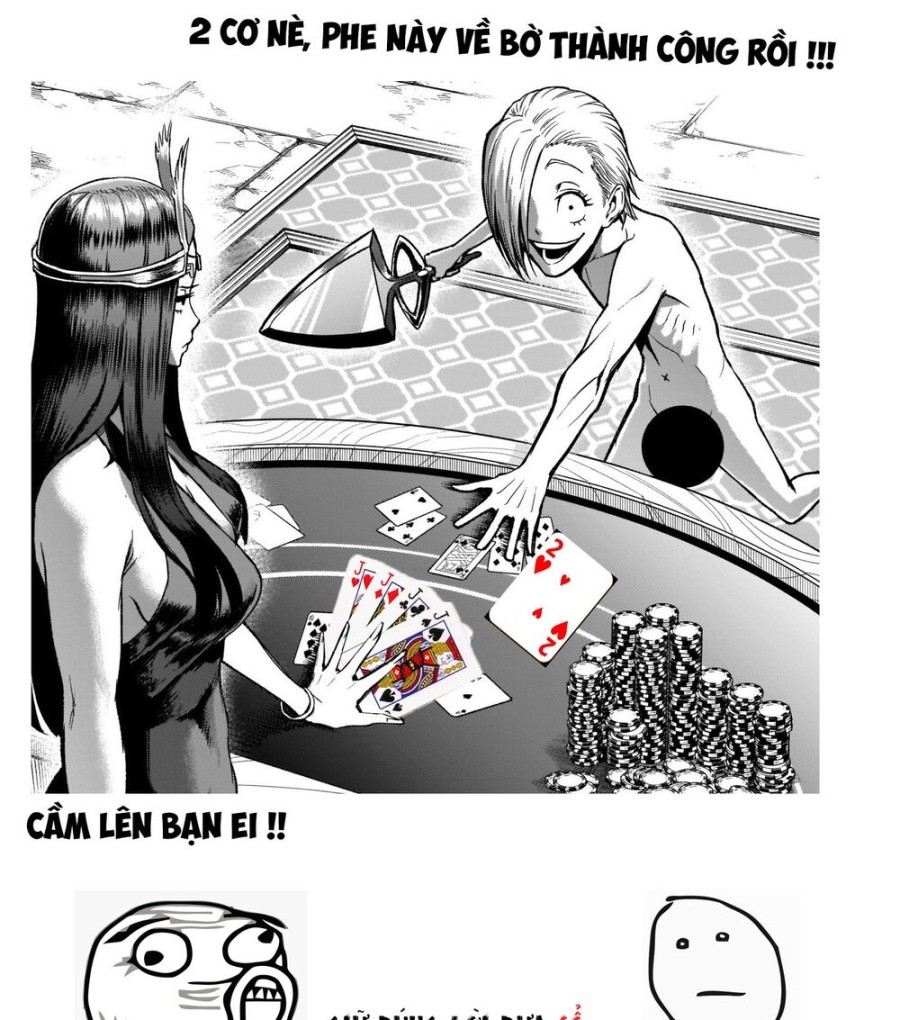 Vườn hoa hồng Saga 
