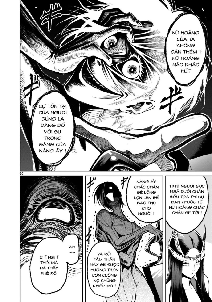 Vườn hoa hồng Saga 