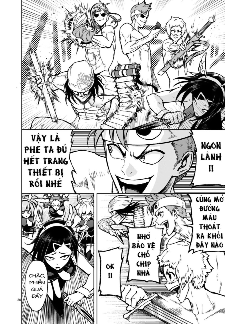 Vườn hoa hồng Saga 