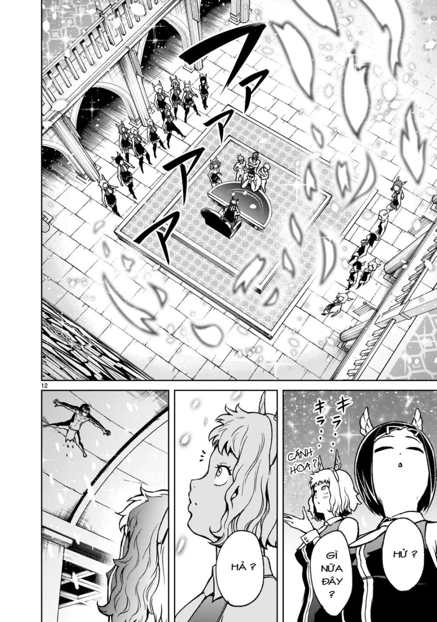 Vườn hoa hồng Saga 