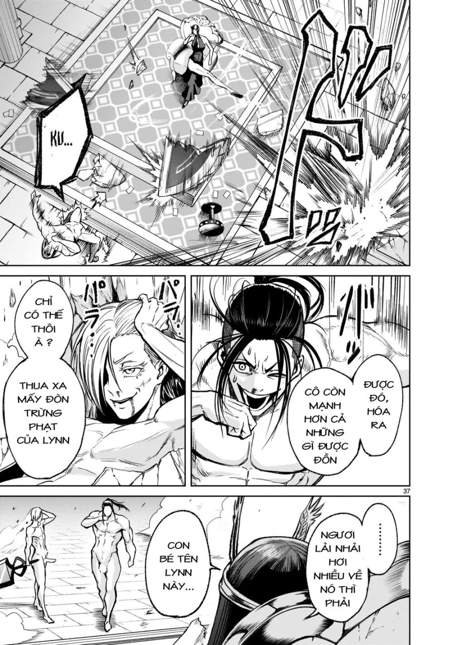 Vườn hoa hồng Saga 