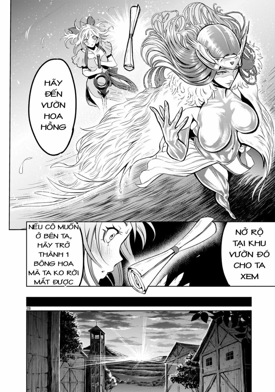 Vườn hoa hồng Saga 