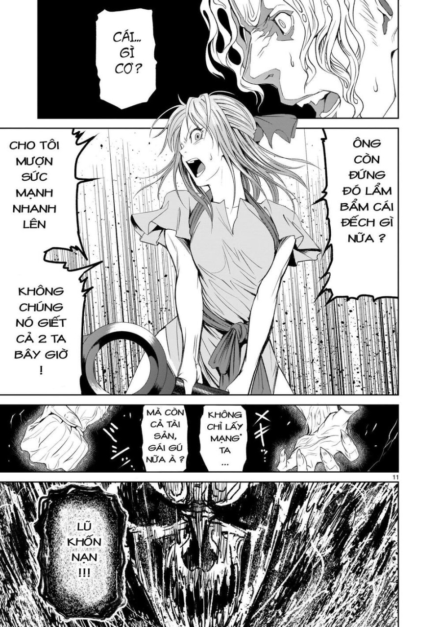 Vườn hoa hồng Saga 