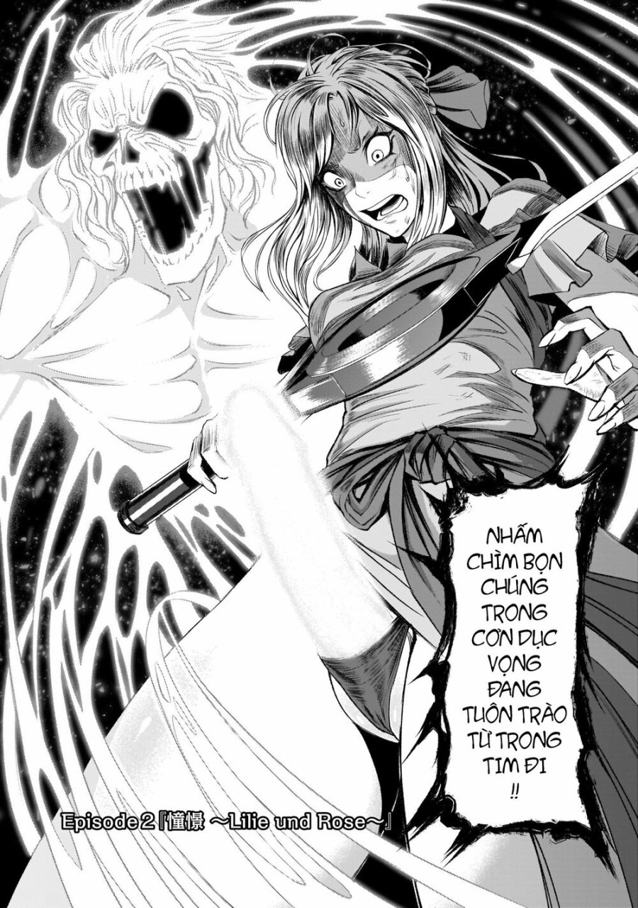 Vườn hoa hồng Saga 