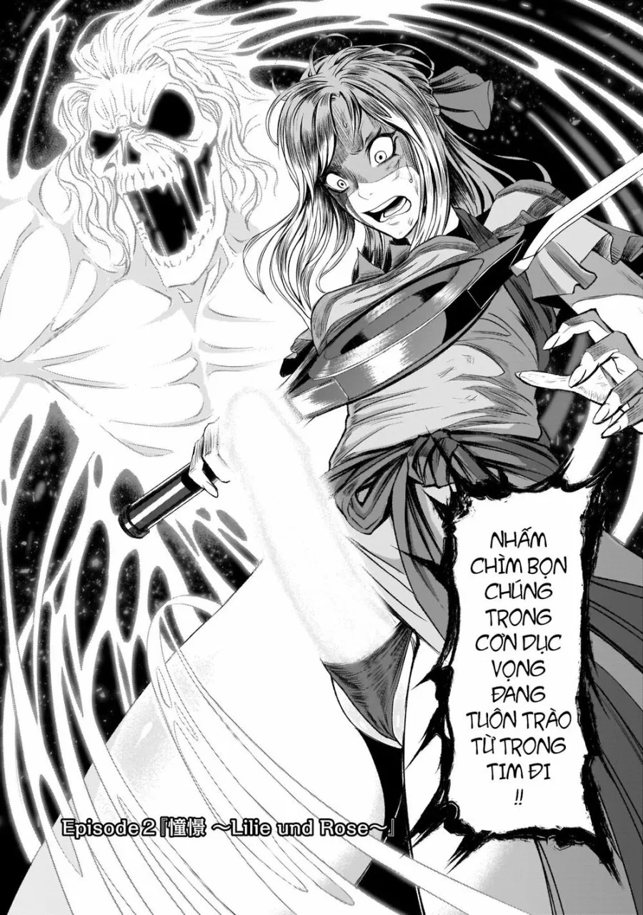 Vườn hoa hồng Saga 
