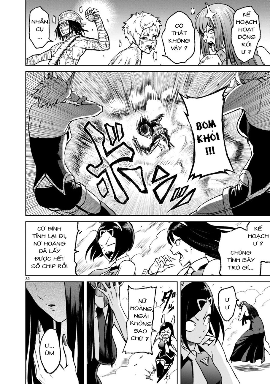 Vườn hoa hồng Saga 