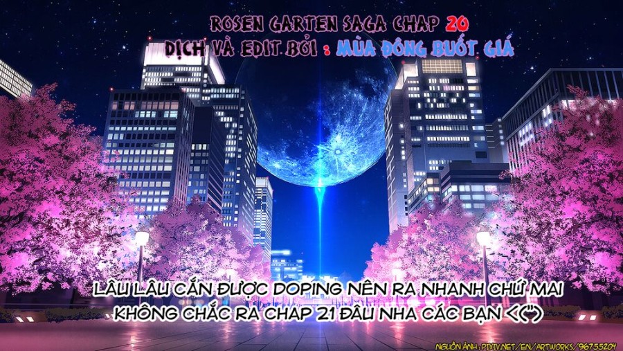 Vườn hoa hồng Saga 