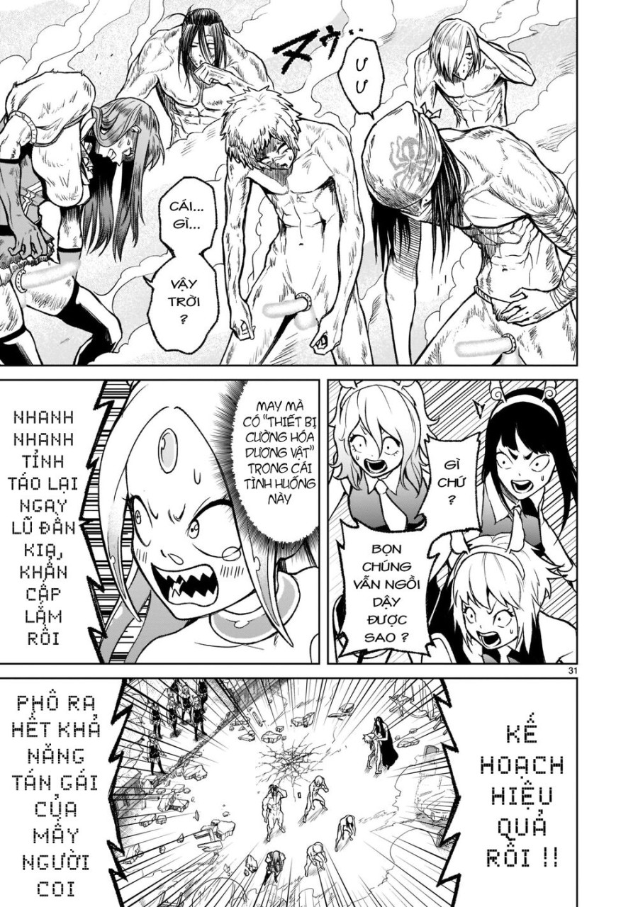 Vườn hoa hồng Saga 