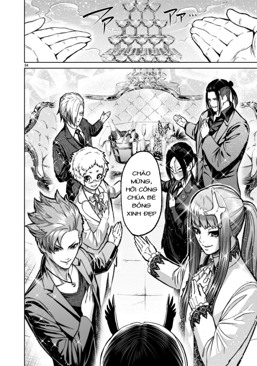 Vườn hoa hồng Saga 